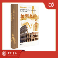 丝绸之路考察实录  丝绸之路学丛书