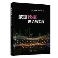 数据挖掘：理论与实践