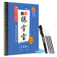 王正良墨点练字宝7天学会行书 凹槽练字帖消字板