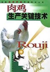 肉鸡生产关键技术