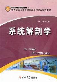 系统解剖学