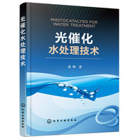光催化水处理技术 光催化技术协同处理污水方法及工程应用&nbsp