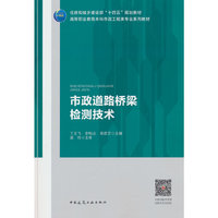 市政道路桥梁检测技术