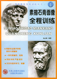 素描石膏面像全程训练——美术课堂全程训练丛书