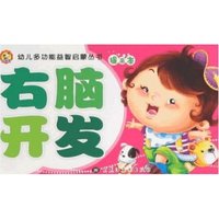 幼儿多功能益智启蒙丛书(提高本)-右脑开发(幼儿多功能益智启蒙丛书)