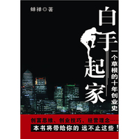 白手起家:一个草根的十年奋斗史