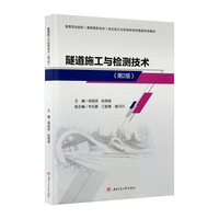 隧道施工与检测技术 第二2版 杨国浪
