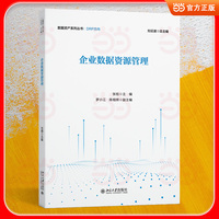 企业数据资源管理 数据资产系列丛书