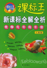 新课标全解全析·化学九年级上册（人教版）——课标王系列