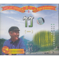 竹1（VCD）