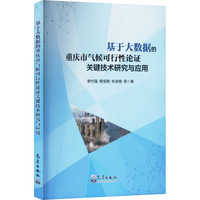 基于大数据的重庆市气候可行性论证关键技术研究与应用