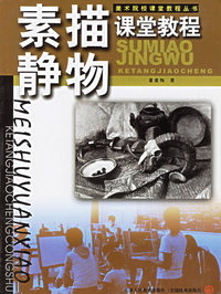 素描静物课堂教程——美术院校课堂教程丛书
