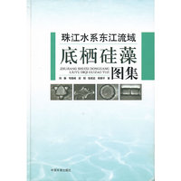 珠江水系东江流域底栖硅藻图集