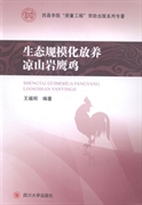 生态规模化放养凉山岩鹰鸡