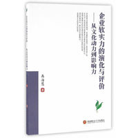 企业软实力的演化与评价