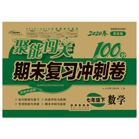 聚能闯关100分期末复习冲刺卷数学七年级下册20春(苏科版)