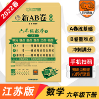 2022春新AB卷六年级下册数学苏教版小学6年级数学SJ版下册同步单元测试卷期中期末试卷