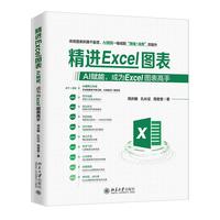 精进Excel图表：AI赋能，成为Excel图表高手