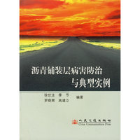 沥青铺装层病害防治与典型实例