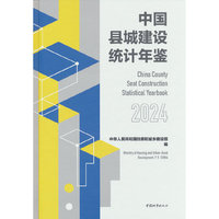 中国县城建设统计年鉴2024