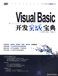 Visual Basic开发实战宝典(配光盘)(软件开发实战宝典)