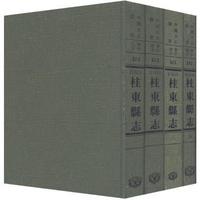 湖南省桂東縣志—華中地方313（全四冊）