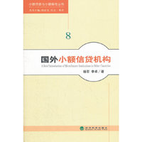 国外小额信贷机构