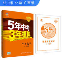 五三 中考化学 广西专用 5年中考3年模拟 2019中考总复习专项突破 曲一线科学备考