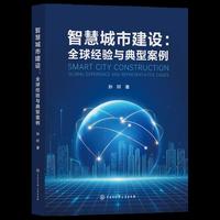 智慧城市建设：全球经验与典型案例