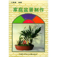 家庭盆景制作
