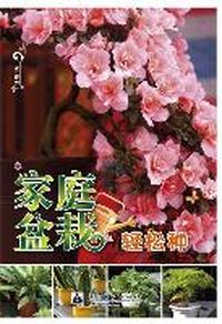 家庭盆栽轻松种