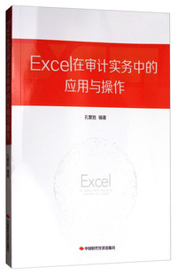 Excel在审计实务中的应用与操作