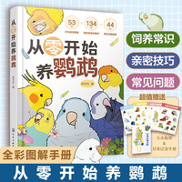从零开始养鹦鹉