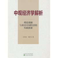 中观经济学解析：理论创新与来自中国经济的实践探索