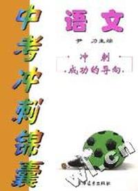 中考冲刺锦囊:语文