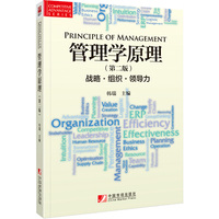 管理学原理(第二版):战略·组织·领导力