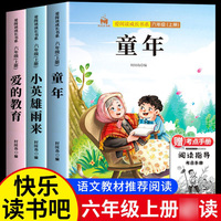 快乐读书吧六年级上册套装3册童年爱的教育小英雄雨来小学生语文教材课外阅读