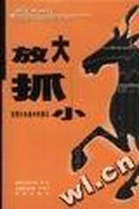 放大抓小-发现小市值中的黑马-中国证券书库.实战纪实系列
