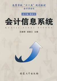 会计信息系统