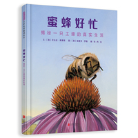 蜜蜂好忙：揭秘一只工蜂的真实生活  启发精选世界优秀畅销绘本