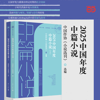 2025中国年度中篇小说(上下)漓江年选系列