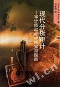 现代分析审计--审计师和会计师实用指南