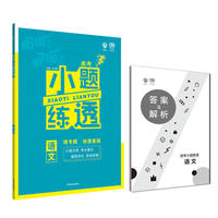 2019新版 高考小题练透语文 理想树67高考自主复习