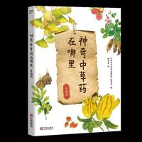 神奇中草药在哪里（东南篇）