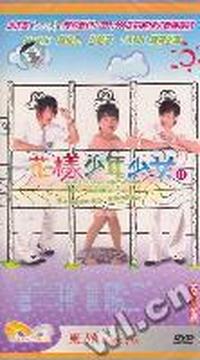东升 花样少年少女 四碟装(DVD)