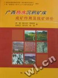 广西热水沉积矿床成矿作用及找矿评价