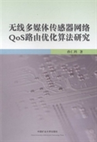 无线多媒体传感器网络QoS路由优化算法研究