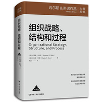 组织战略、结构和过程