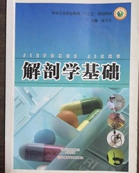 解剖学基础