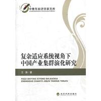 复杂适应系统视角下中国产业集群演化研究